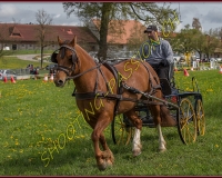 1POSIEUX 0525